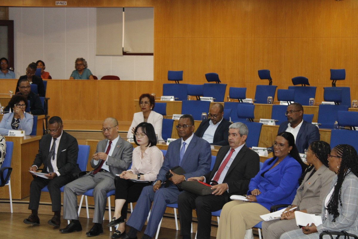  MG 2162 (1) (Personalizar)